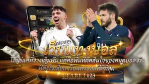 เว็บแทงบอล